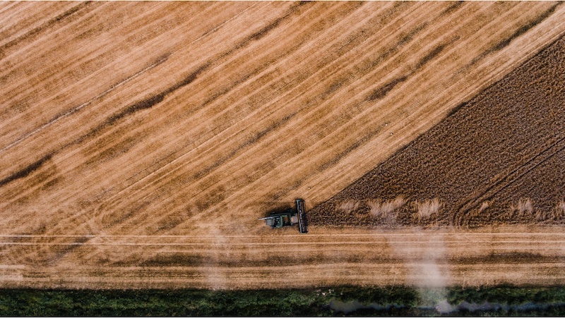 labības lauks no augšas